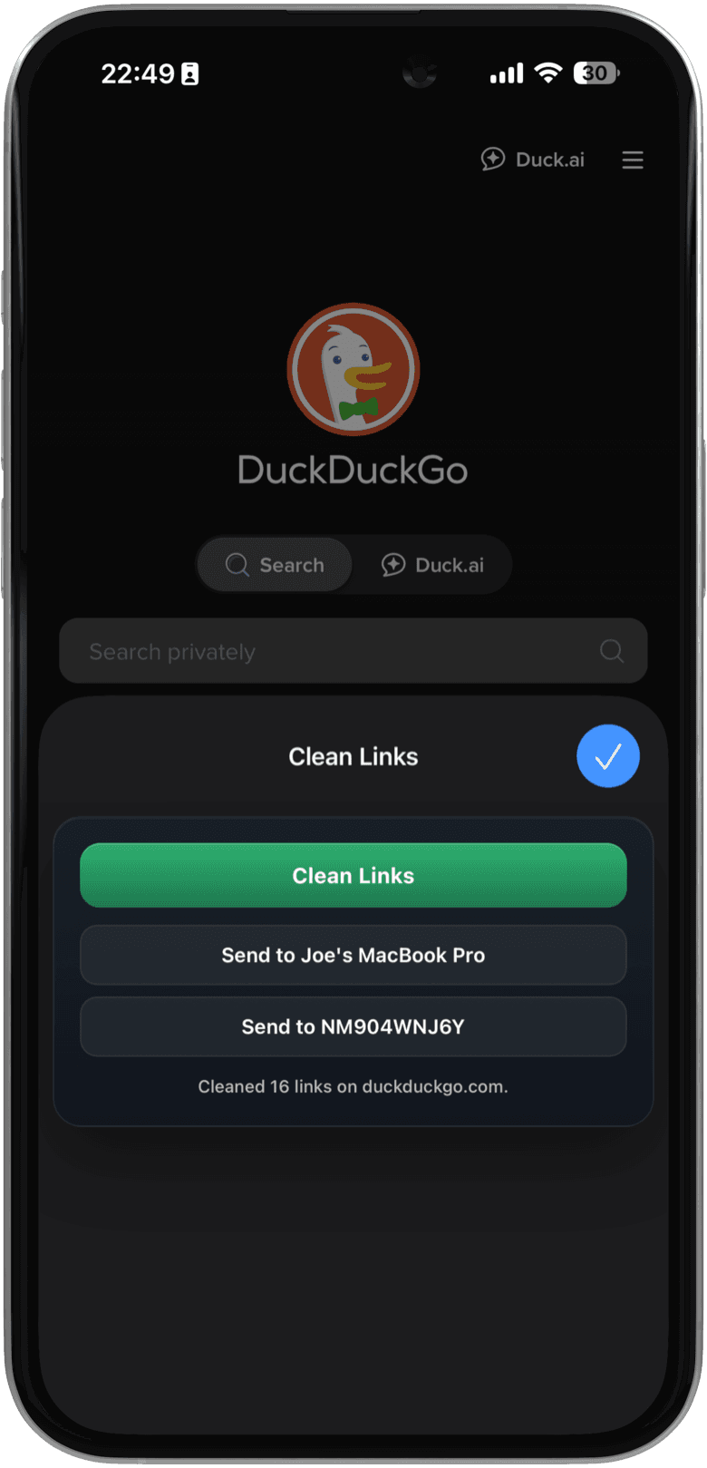 Clean Links Safari-Erweiterung auf dem iPhone im Menü Erweiterungen verwalten aktivieren